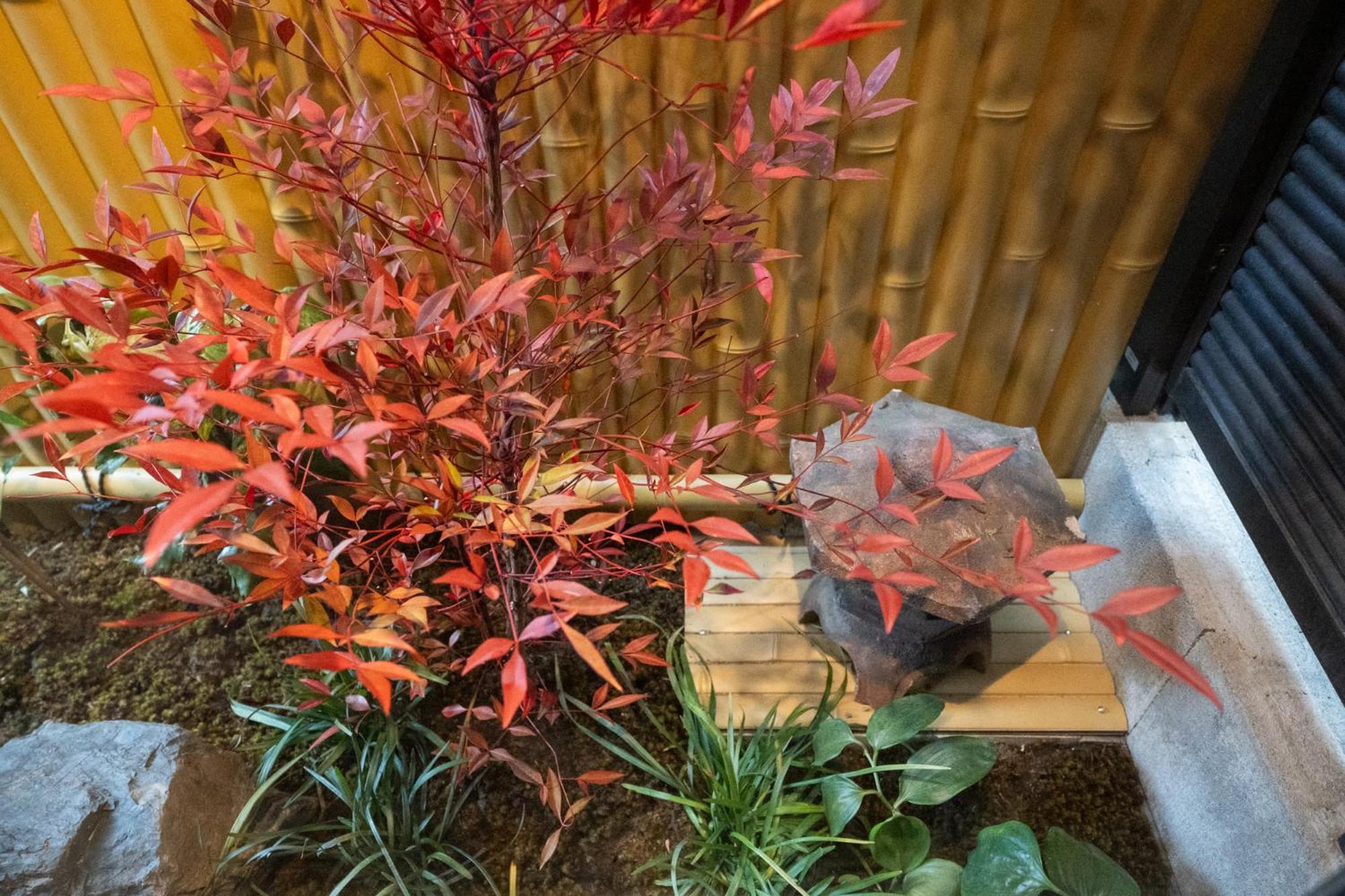 東雲庵/shinonomean * 京都市